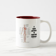 It Takes Arteries To Function Properly Circulatory