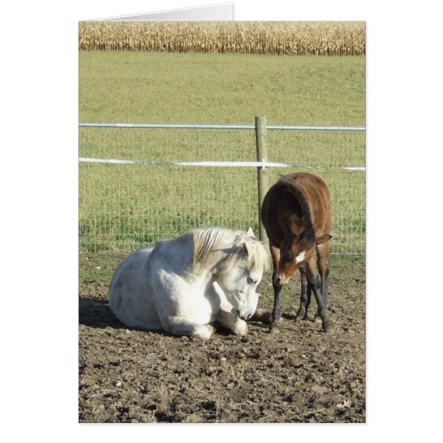 It Takes Patience Card (Front)