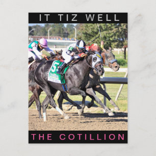 It Tiz Well - The Cotillion Winner Postcard