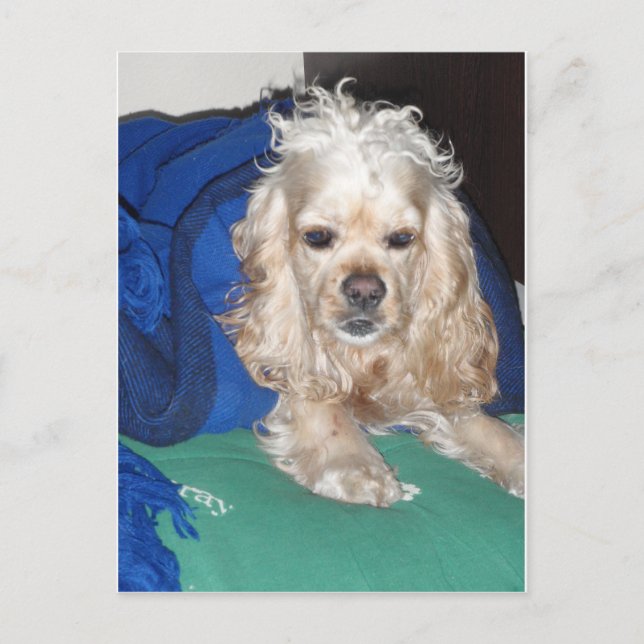 It was a hard night postcard (Front)