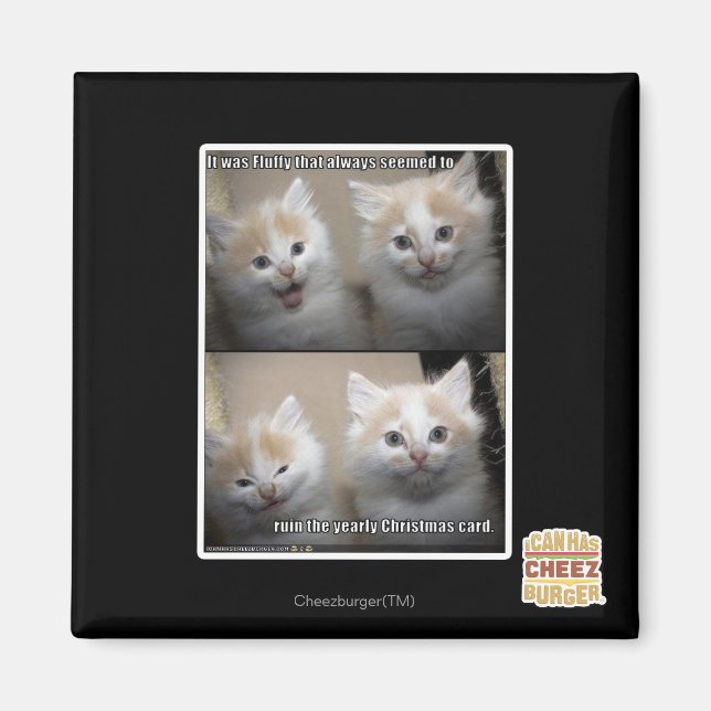 It was Fluffy Magnet (Front)