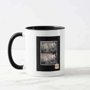 It was Fluffy Mug