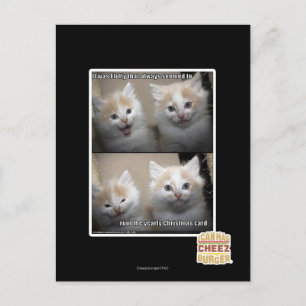 It was Fluffy Postcard