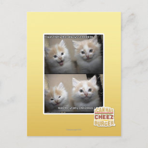 It was Fluffy Postcard