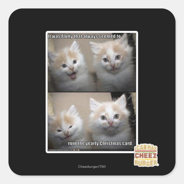 It was Fluffy Square Sticker (Front)