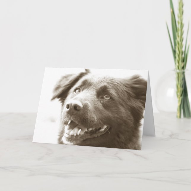 It was great seeing you! thank you card (Front)