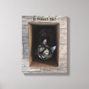 It Wasn't Me! Canvas Art