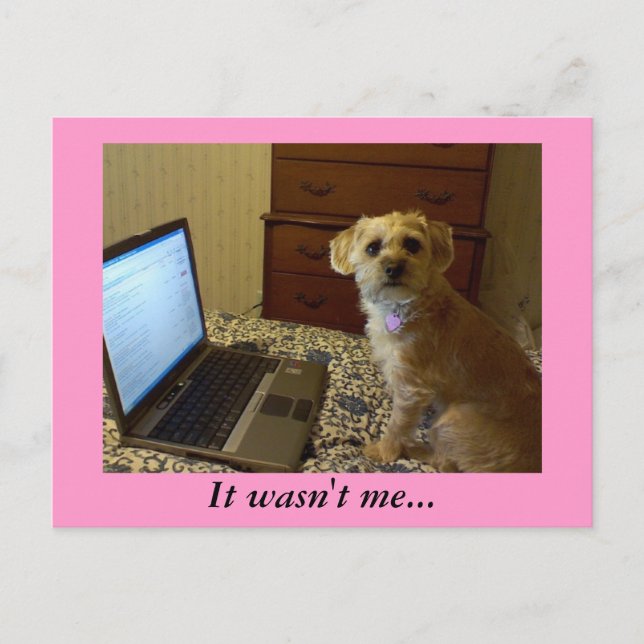 It wasn't me... Postcard (Front)