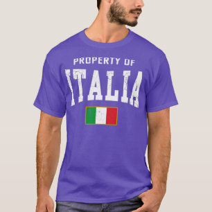Italia Flag Vintage Distressed Fade T-Shirt