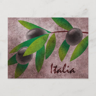 Italia Olives Postcard