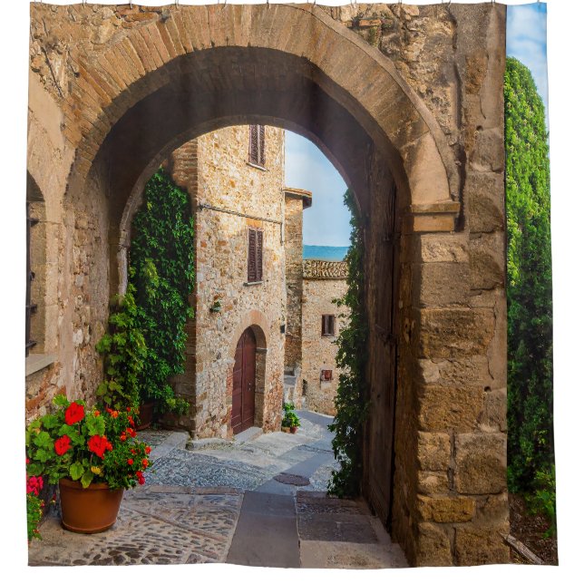 Italian Architecture Elegance Shower Curtain (Front)