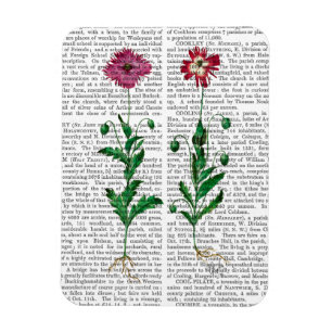 Italian Carnation 3 Magnet