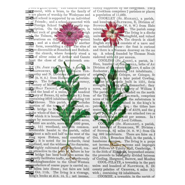 Italian Carnation 3 Notebook (Front)