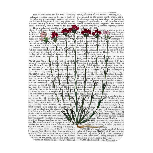 Italian Carnation 4 Magnet (Vertical)
