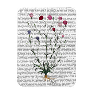 Italian Carnation 5 Magnet