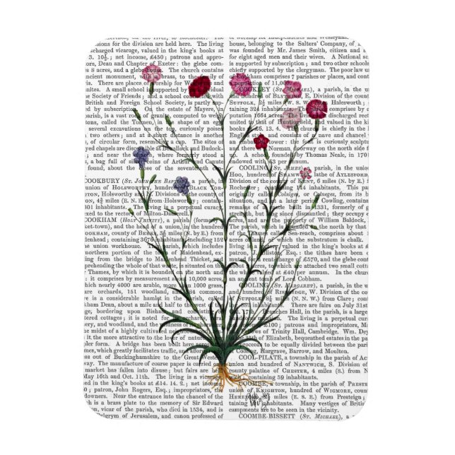 Italian Carnation 5 Magnet (Vertical)