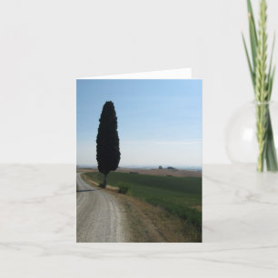 Italian Cypress Note Cards
