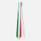 Italian flag neck ties