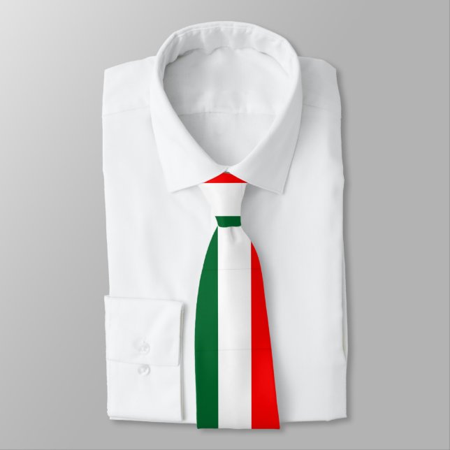 Italian Flag Tie (Tied)