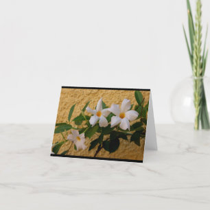 Italian Flowers note card