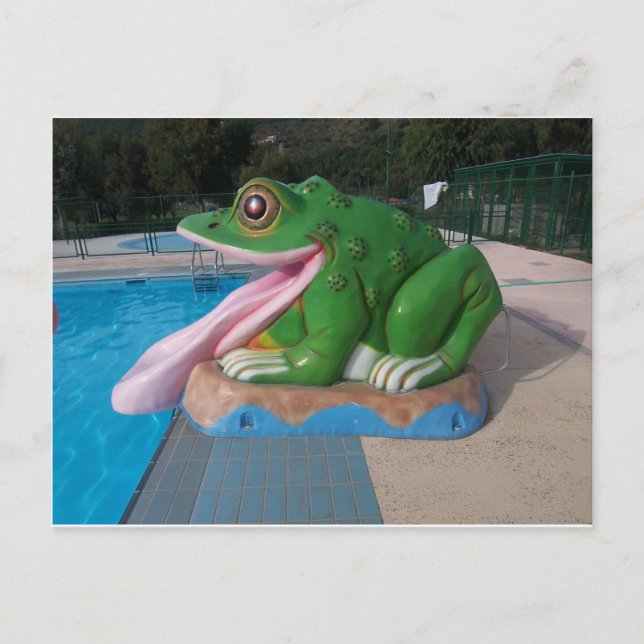Italian Frog Slide Postcard (Front)