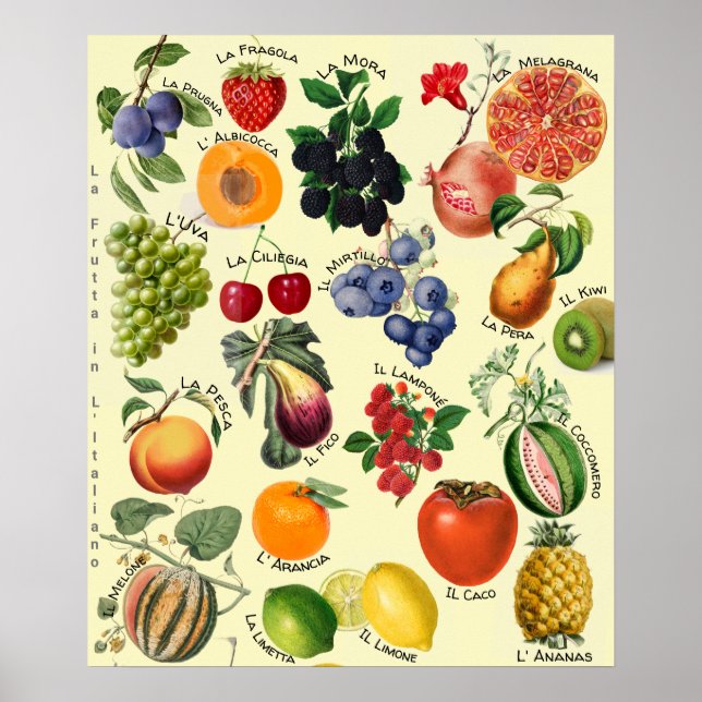 Italian Fruit Language Chart  (Front)