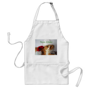 Italian Greeting Cat in Santa Hat Apron