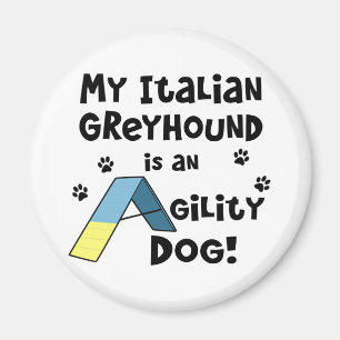 Italian Greyhound Agility Dog Magnet