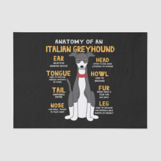 Italian Greyhound Anatomy Funny Dog Mum Dad Gift Tissue Paper