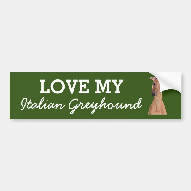 Italian Greyhound bumper sticker (Front)