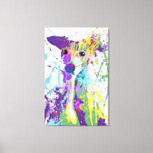 Italian Greyhound Canvas Print