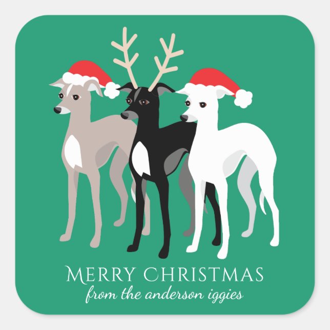 Italian Greyhound Christmas Iggy Square Sticker (Front)