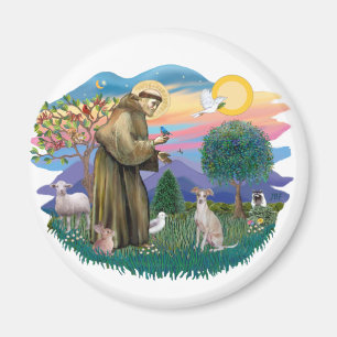 Italian Greyhound (cream) Magnet