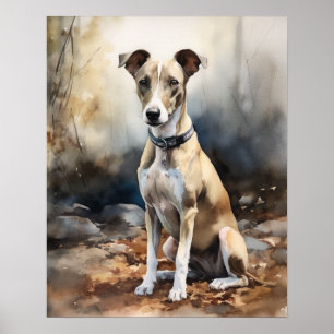 Italian Greyhound Dog Art Print Poster