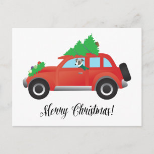 Italian Greyhound Dog Driving Car - Christmas Tree Holiday Postcard