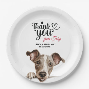 Italian Greyhound Dog Paper Plate