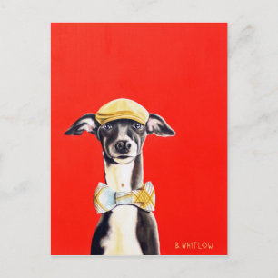 Italian Greyhound Dog Postcard - Harry