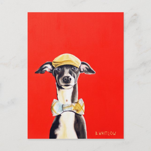 Italian Greyhound Dog Postcard - Harry (Front)