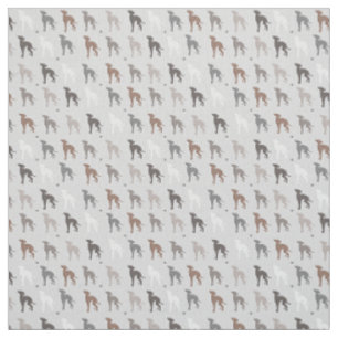 Italian Greyhound Dog Rescue Joann Fabric Iggy
