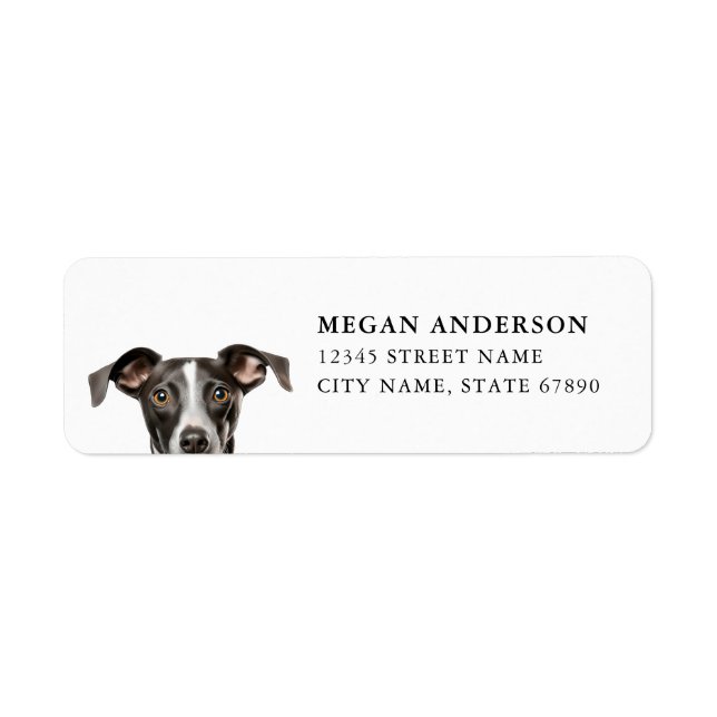 Italian Greyhound Dog Return Address Labels (Front)
