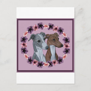 ITALIAN GREYHOUND DUO POSTCARD