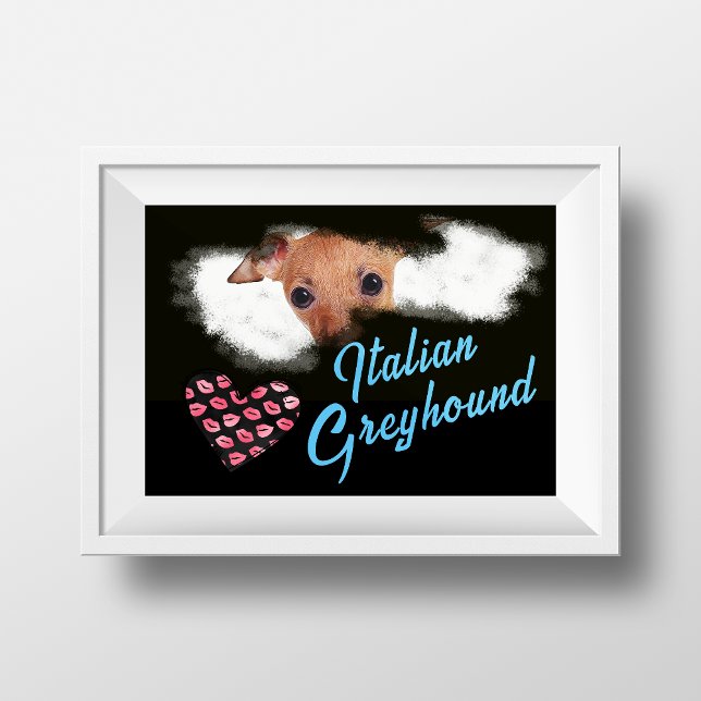 Italian Greyhound Eyes Solid Colour Poster (Creator Uploaded)