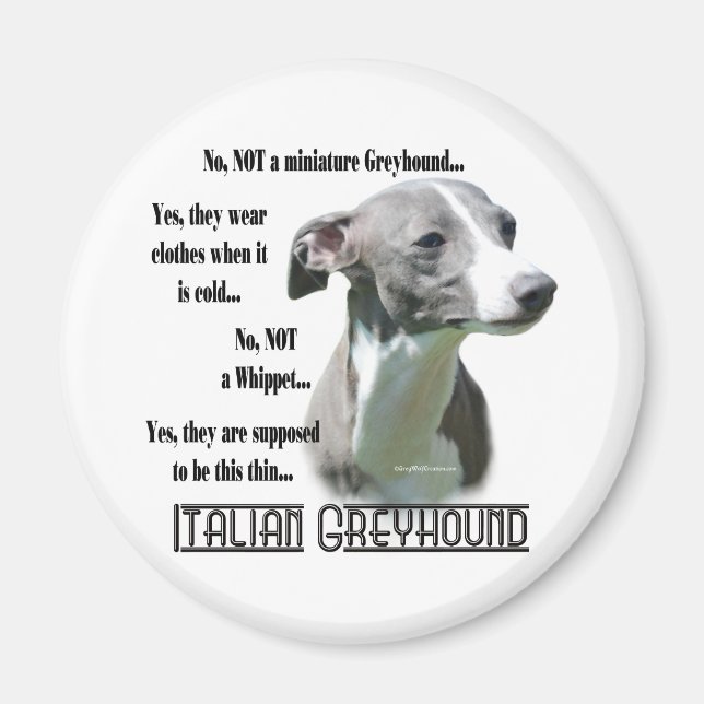 Italian Greyhound FAQ Magnet (Front)
