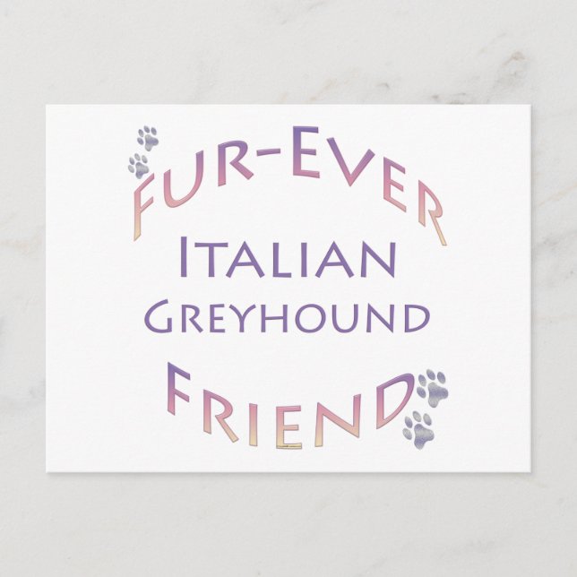 Italian Greyhound Furever Postcard (Front)