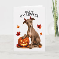 Italian Greyhound Halloween Devil Dog