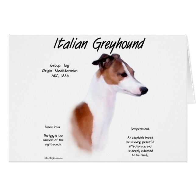Italian Greyhound History Design (Front Horizontal)