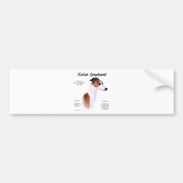 Italian Greyhound History Design Bumper Sticker (Front)