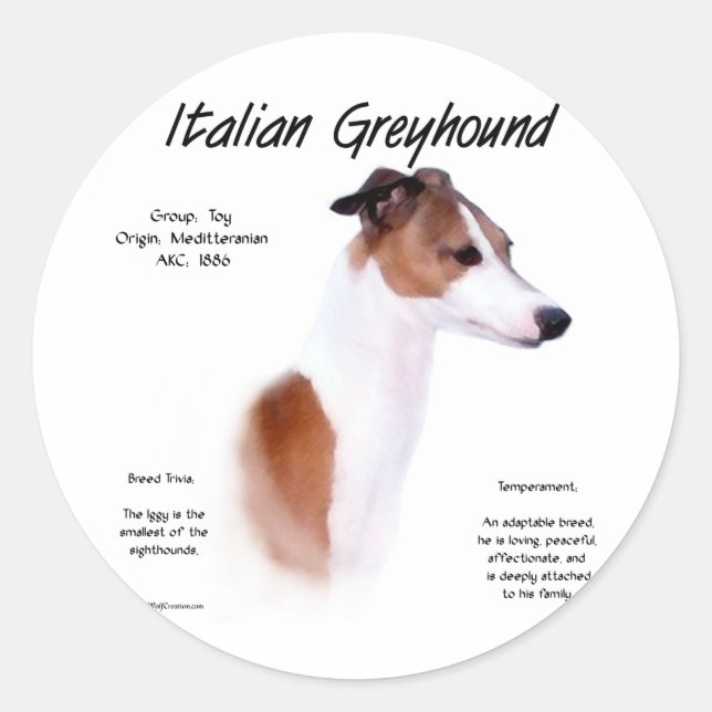 Italian Greyhound History Design Classic Round Sticker (Front)