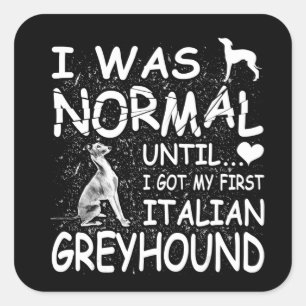 italian greyhound i was normal until dirty design square sticker