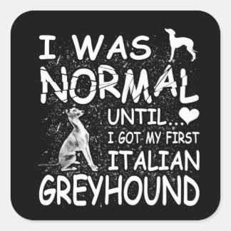 italian greyhound  i was normal until dirty design square sticker
